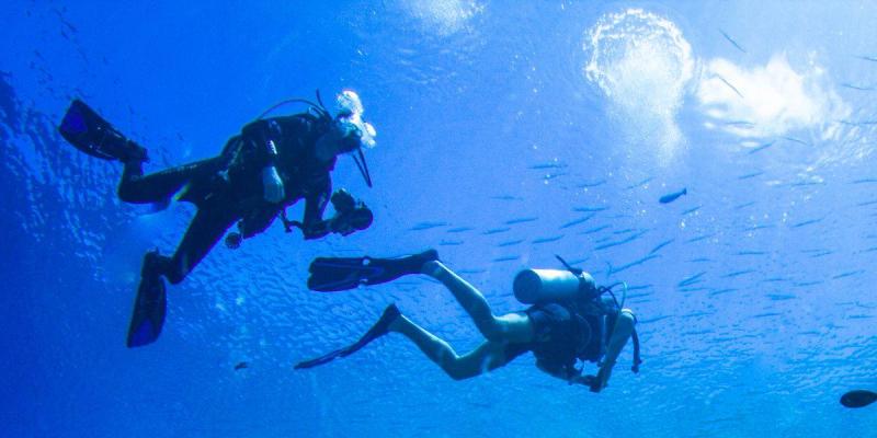 Submarinisme a les Illes Medes