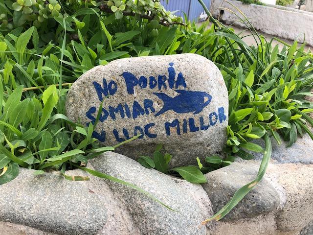 Pedra situada a cala s'Alguer on hi ha apareix la inscripció "No podria somiar un lloc millor". FOTO: Sandra Bisbe