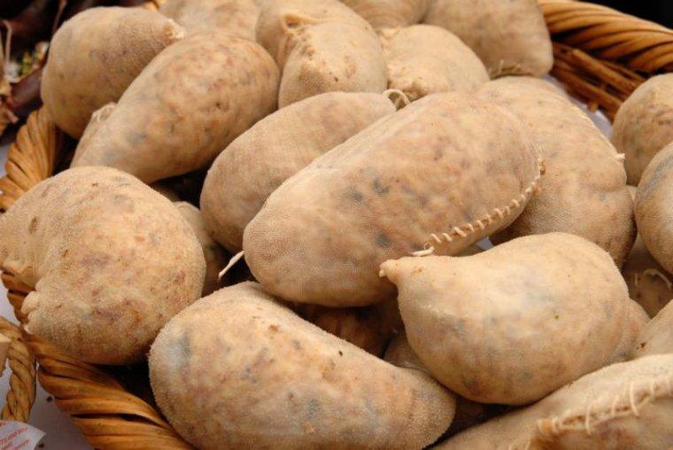 La girella del Pallars