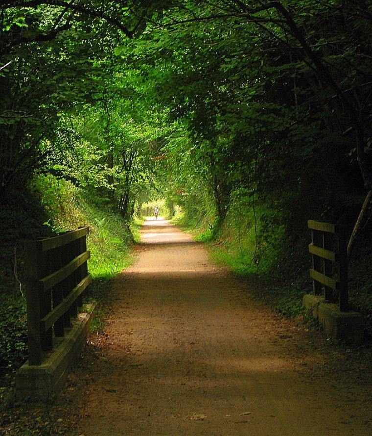 Via Verda Olot-Girona