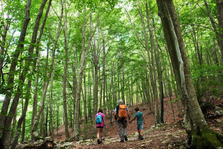 A peu pel Montseny