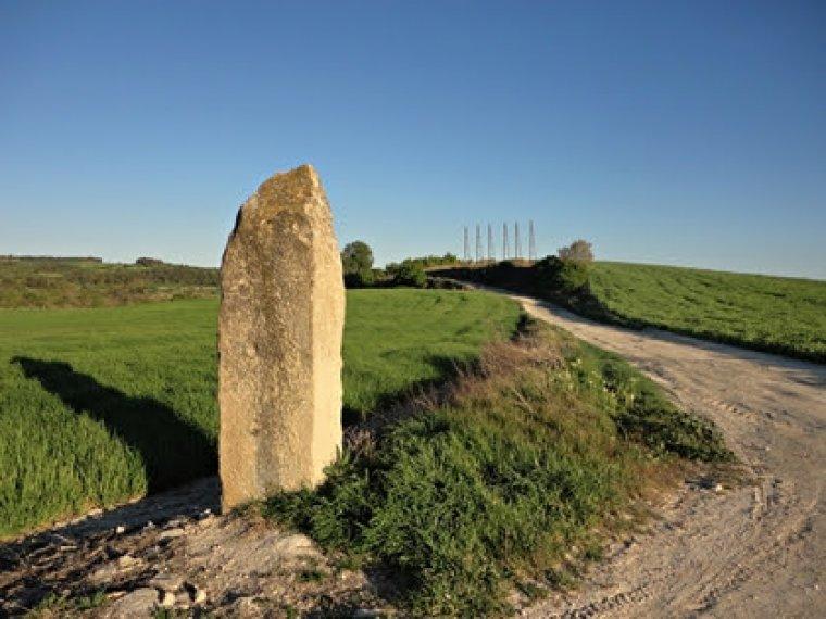 El queixal de la bruixa
