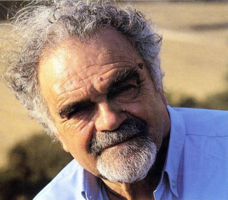Josep Guinovart i Bertran Josep Guinovart i Bertran