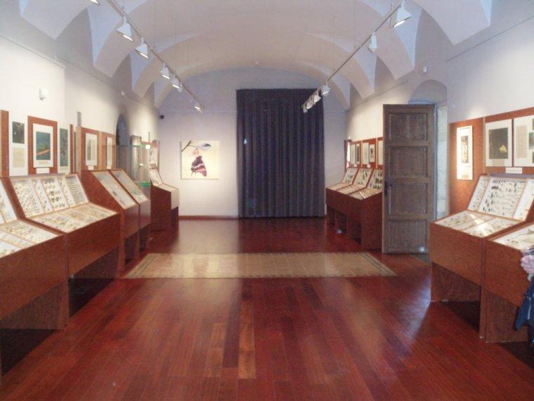 Museu de les Papallones