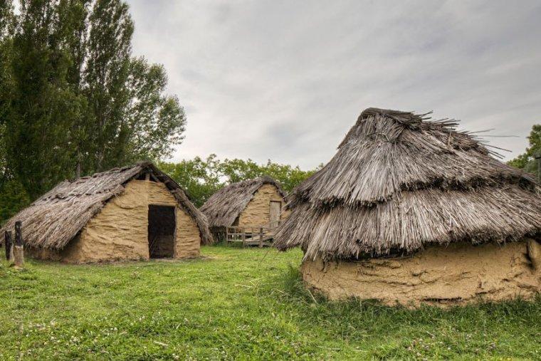 Parco Neolítico de la Draga