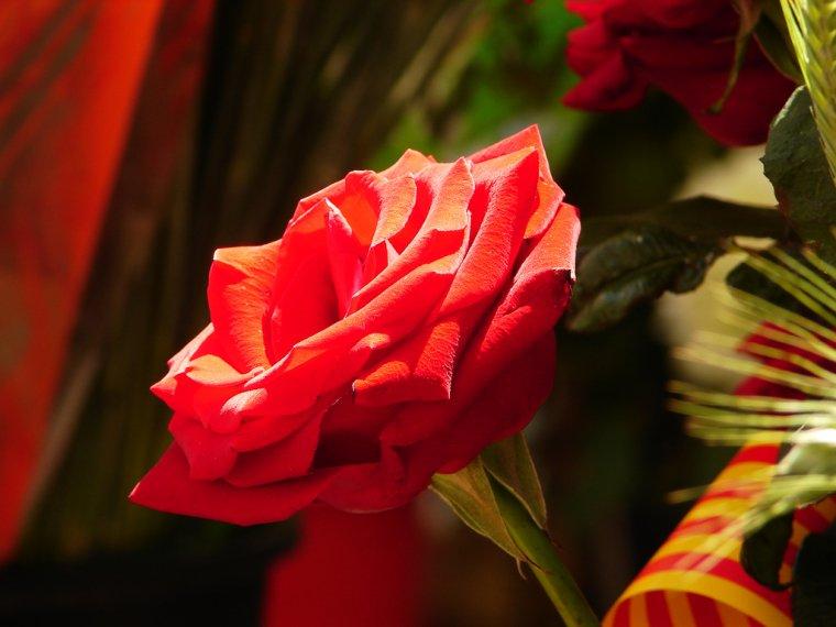 És Sant Jordi