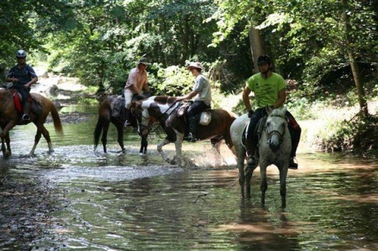 Caballos