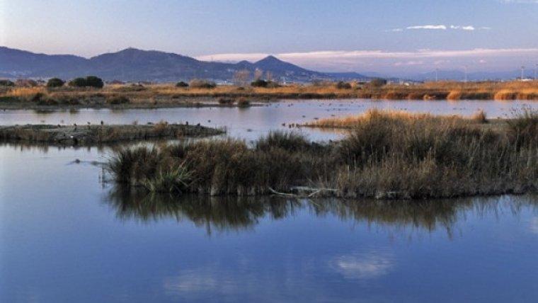 Delta del Llobregat