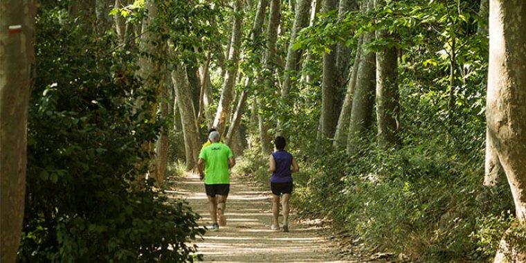 Gallecs gaudeix d'indrets naturals