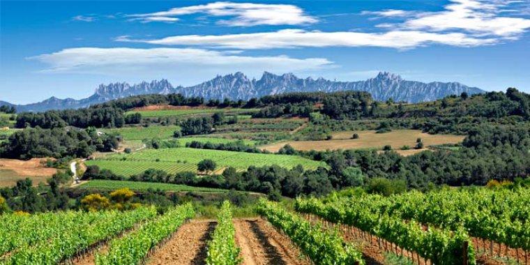 Montserrat ofereix unes vistes espectaculars