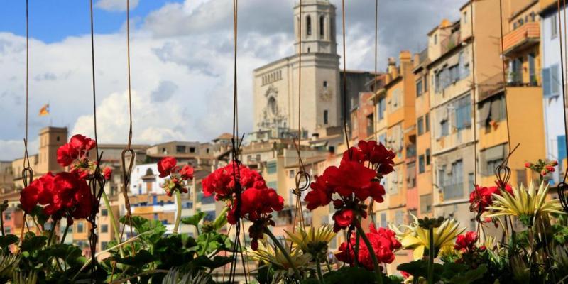 Girona temps de flors. Girona temps de flors.