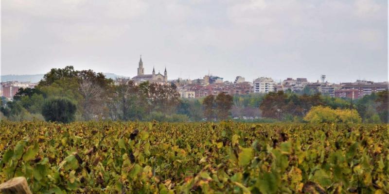 Vilafranca és coneguda pels seus vins i caves Vilafranca és coneguda pels seus vins i caves