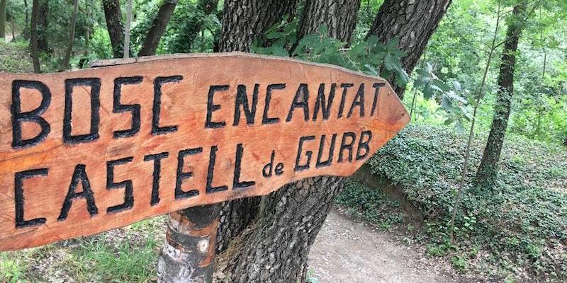 El Bosc Encantat és una bona opció per visitar amb nens i nenes