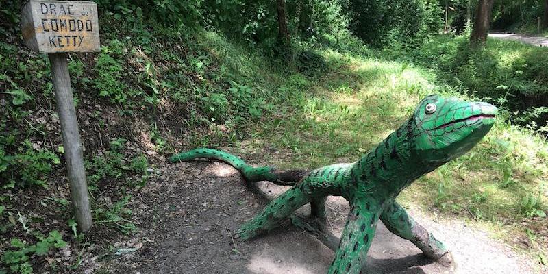 El Bosc Encantat de Gurb El Bosc Encantat de Gurb