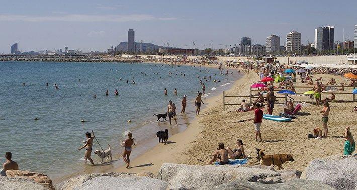 En la playa de Levante de Barcelona se  puede ir con los perros