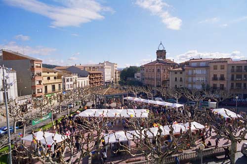 Tremp, durant la Fira del Codony