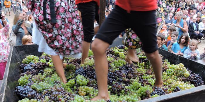 Festa de la Verema a Alella Festa de la Verema a Alella