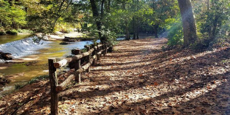 El parc de Sant Salvador és un lloc ideal per gaudir ne en família