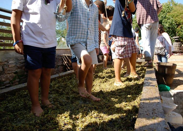 Festa del Most a Sant Quirze del Vallès