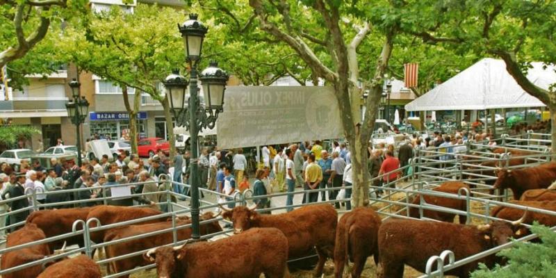 Fira de Santa Tecla a Berga