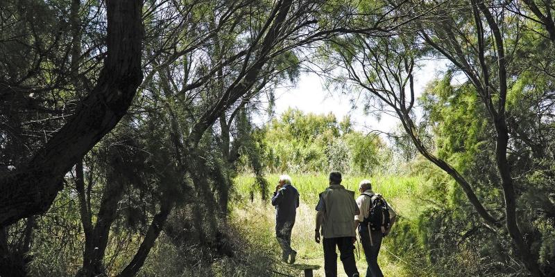 El Prat de Llobregat, Espai Natural del Delta. FOTO Catalunya Palau Robert El Prat de Llobregat, Espai Natural del Delta. FOTO Catalunya Palau Robert