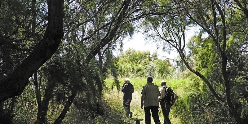 El Prat de Llobregat, Espai Natural del Delta. FOTO Catalunya Palau Robert