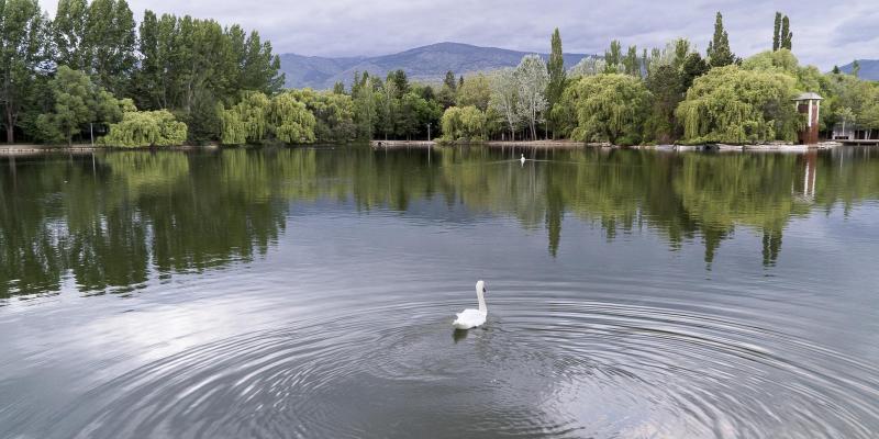 Puigcerdà. L'Estany Puigcerdà. L'Estany