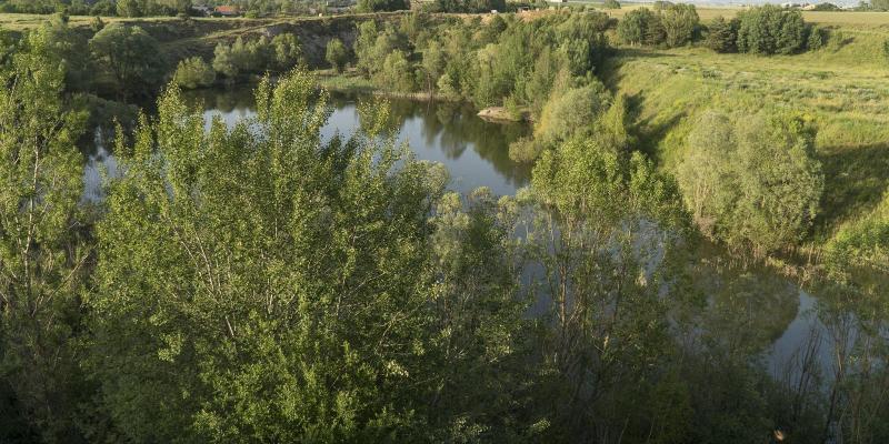 Das. La Bassa de Sanavastre. FOTO Catalunya Palau Robert