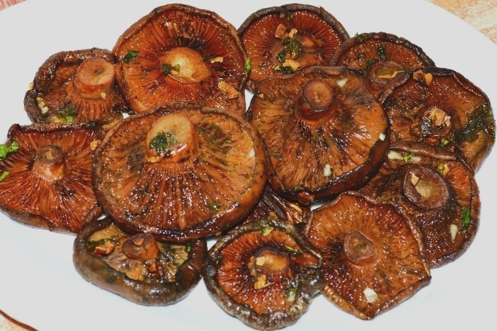 Rovellons saltats. Rovellons saltats.