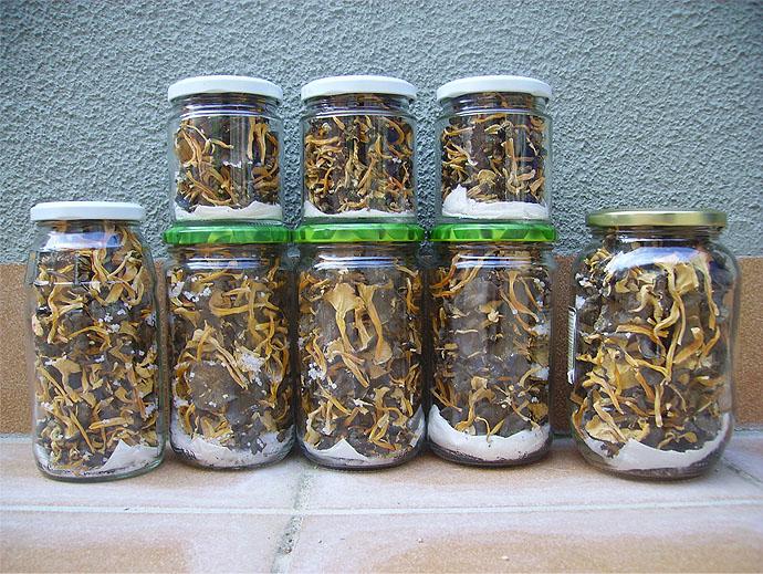 Les conserves de bolets us permetran menjar-ne tot l'any. Les conserves de bolets us permetran menjar-ne tot l'any.