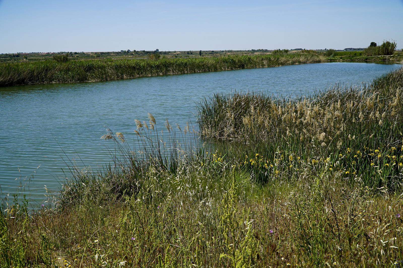 Torregrossa. Bassa de rec. FOTO Catalunya Palau Robert