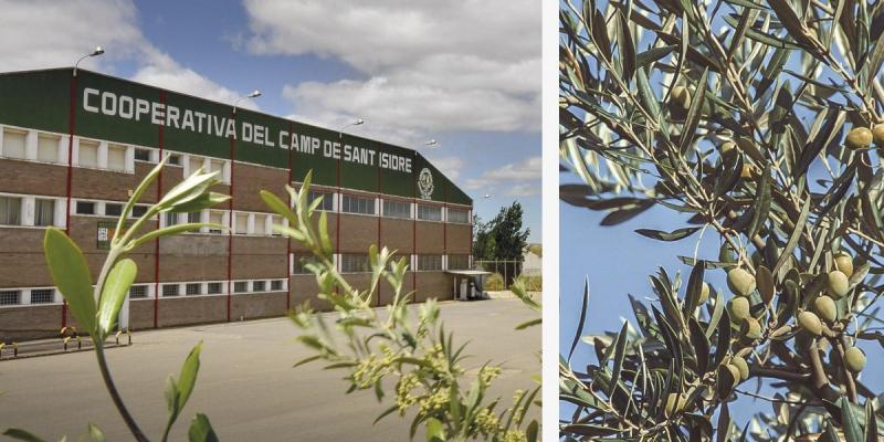 Cooperativa Sant Isidre de les Borges Blanques Cooperativa Sant Isidre de les Borges Blanques