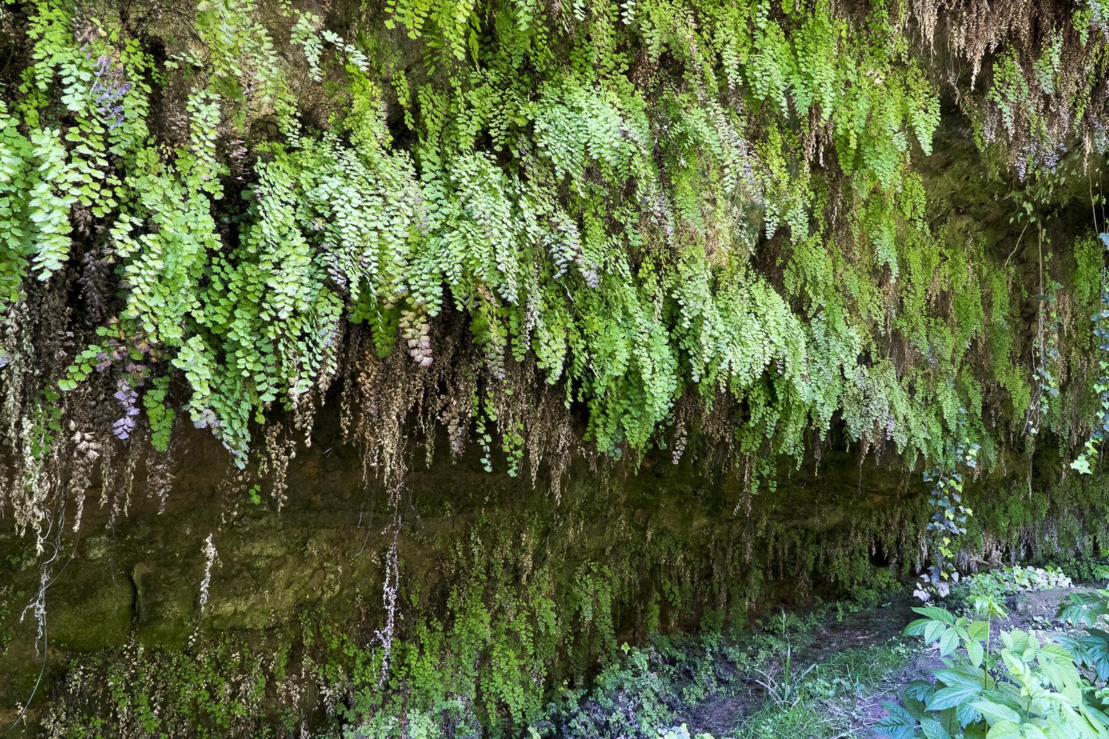 Cabrera d'Anoia. Salto del Tornillo. FOTO Cataluña Palau Robert