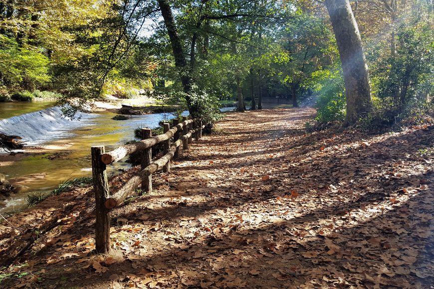 El Parc de Salt Salvador ofereix un paisatge idíl·lic de tardor