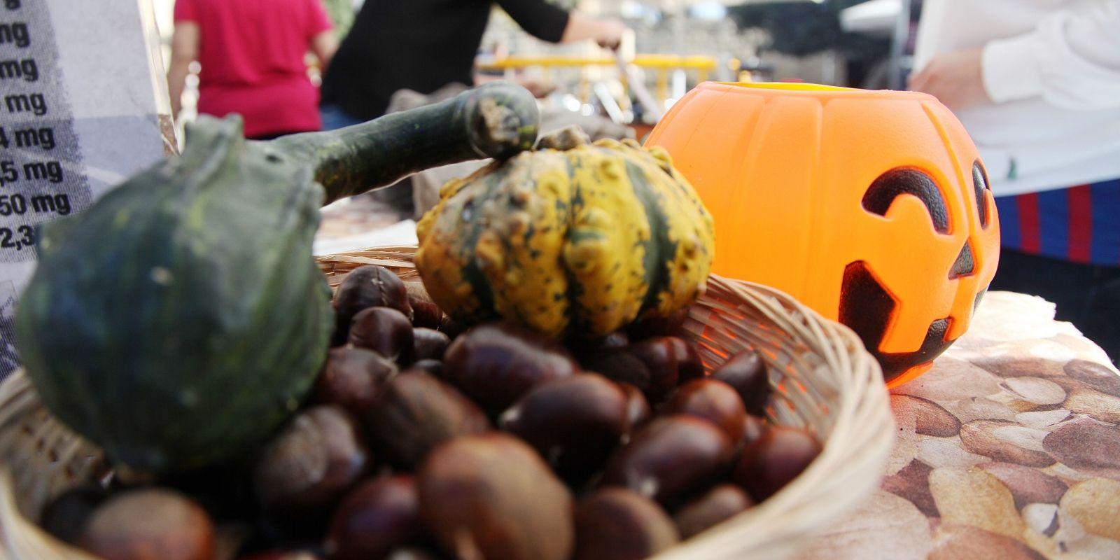Les castanyes són les grans protagonistes de la festa catalana. FOTO: Lali Puig