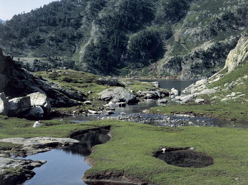 Els Pirineus Els Pirineus