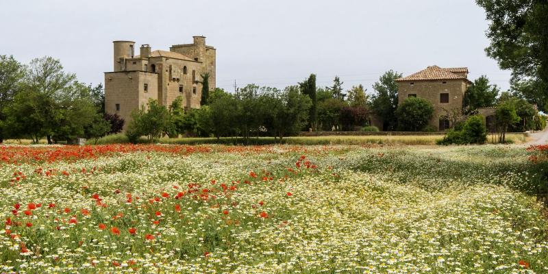 Castell de Ratera