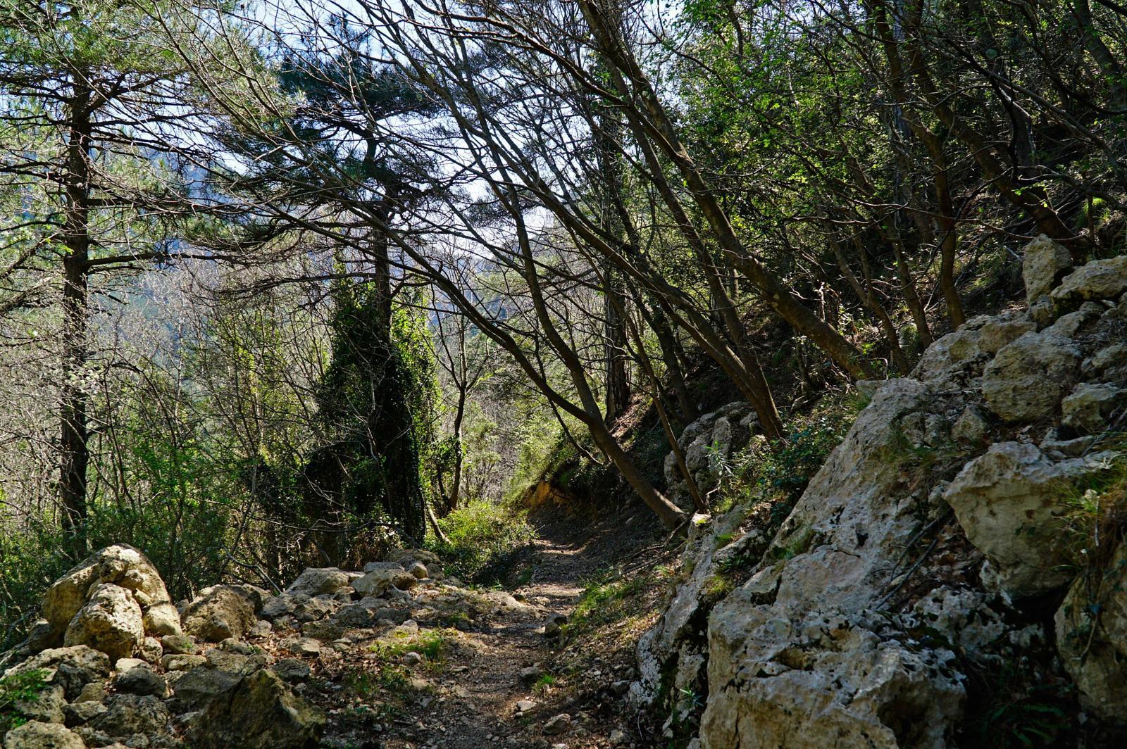 Camí del Cortijo de Valló. FOTO: Palau Robert