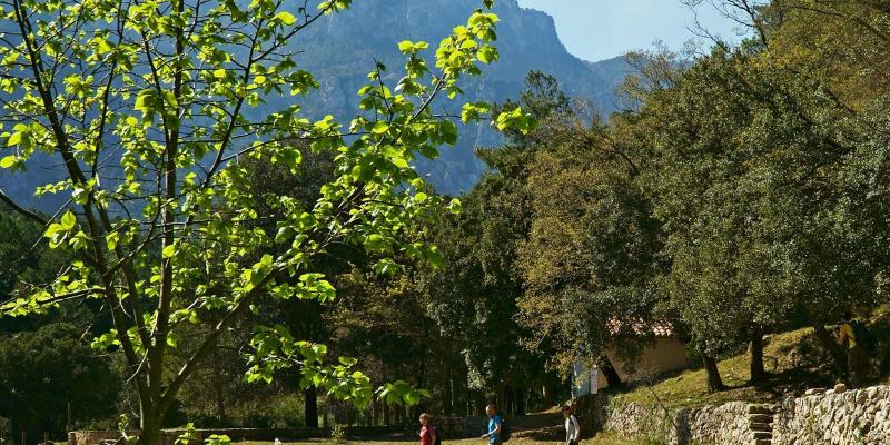 Àrea de la Vall a Roquetes. FOTO: Palau Robert