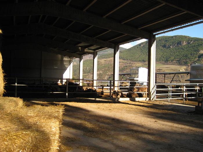Cooperativa del Pallars