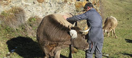 Cooperativa Pallars de Sort Cooperativa Pallars de Sort