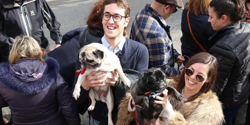 Són moltes les persones que porten els animals a beneïr durant la celebració de Sant Antoni. FOTO: TOT Sant Cugat