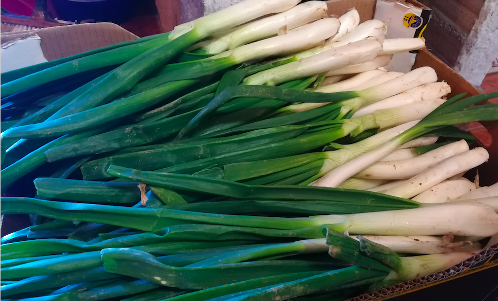 Els calçots són propis de l'hivern. FOTO: C.Caballé Els calçots són propis de l'hivern. FOTO: C.Caballé