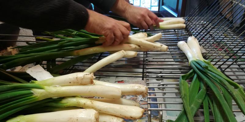 Hi ha diverses teories i llegendes sobre com es va començar a menjar calçots. FOTO: C.Caballé