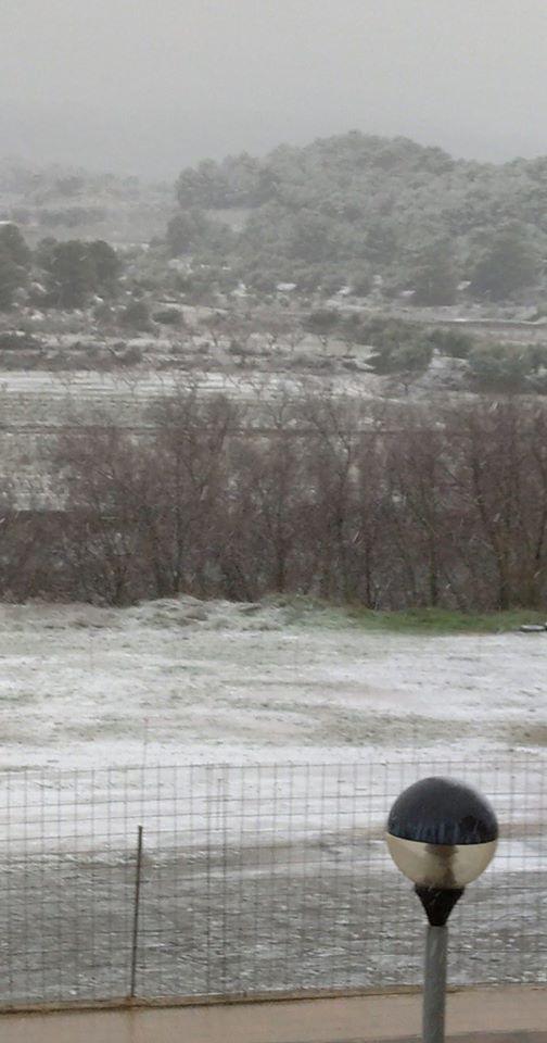 Terra Alta, per Susana Calero