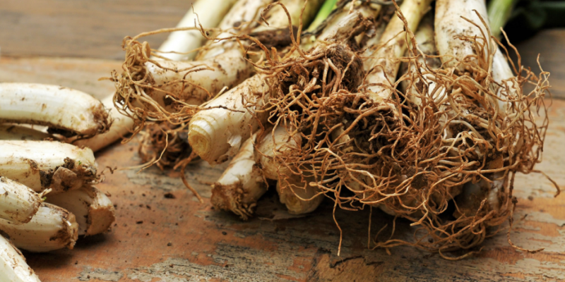 Els calçots es mengen durant els mesos més freds de l'any Els calçots es mengen durant els mesos més freds de l'any