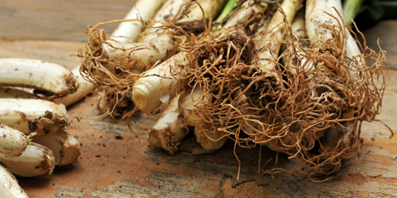 Els calçots es mengen durant els mesos més freds de l'any