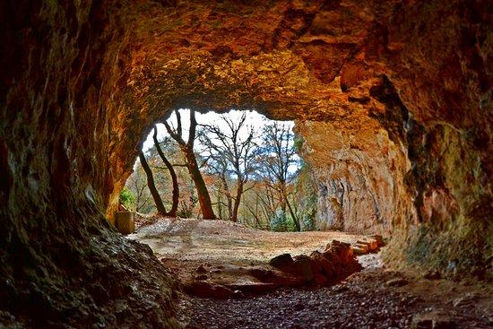 Les coves es troben al Moianès