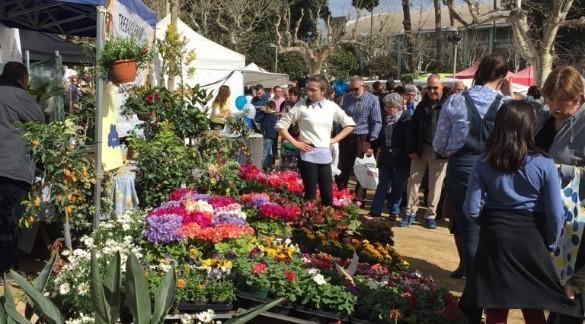 Fira de l'Arbre a Mataró