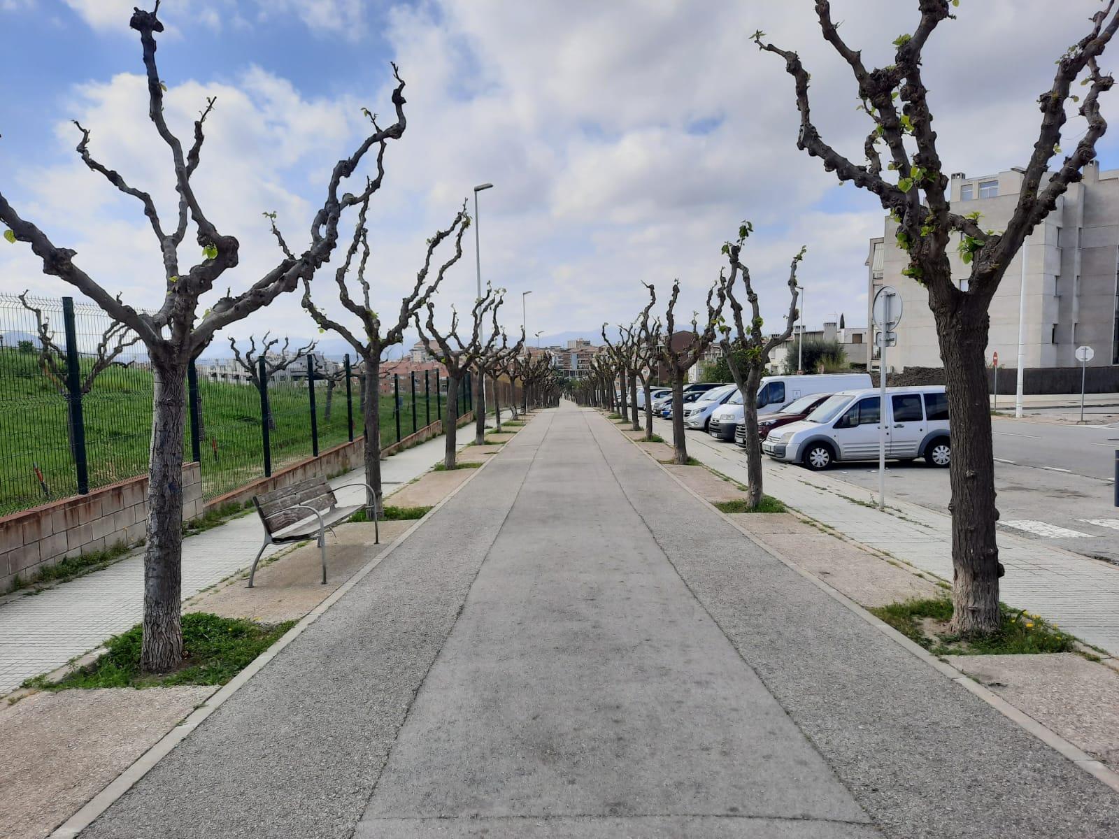 La principal recomanació és quedar-se a casa.